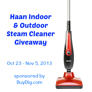 Haan Steam Cleaner Giveaway